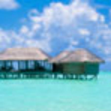 Restaurant Furian