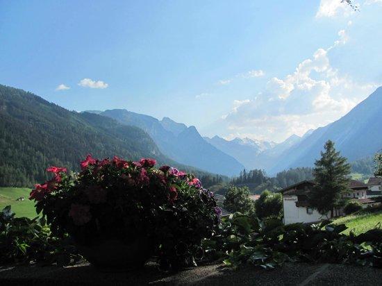 Trinserhof