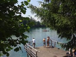 Waldbad Anif
