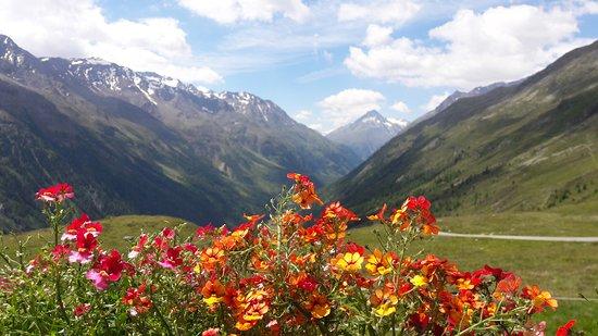 Heidealm