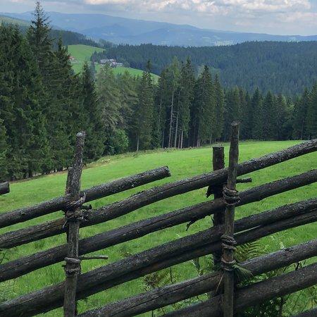 Gasthof Z Waldheimat *** Hannes Rothwangl
