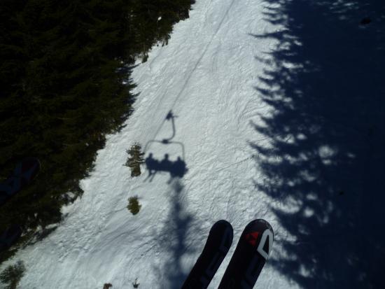 Skischule Bogei Filzmoos