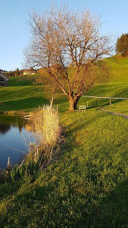 Dörnlesee
