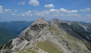 Geierköpfe